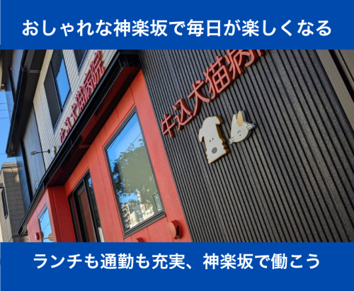 【正社員】動物好き歓迎｜神楽坂の動物病院で受付スタッフ