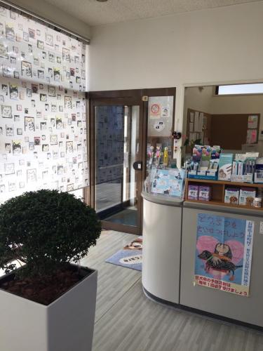 【経験者】長野県　あさま動物病院　動物看護師募集！　資格不問
