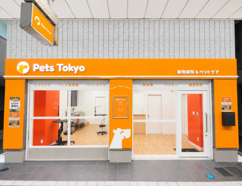 愛玩動物看護師｜犬猫診療サポート｜有資格者限定