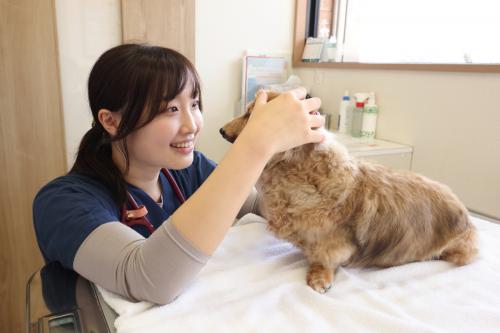 一人一人の働きやすさを重視　川崎市中原区　動物看護師募集