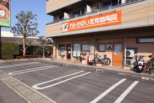 【川崎市の動物病院】獣医師募集！　