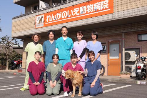 【川崎市の動物病院】獣医師募集！　