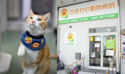 午前のみ・週2日から【江戸川区】動物病院経験者募集