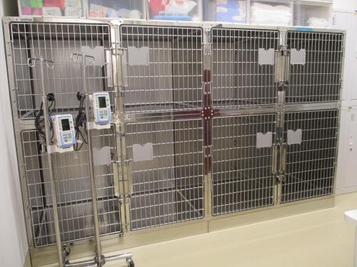 ひごペットクリニック 吹田病院 ※獣医師正社員・院長候補※