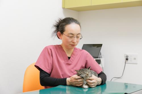 非常勤獣医師、募集中。
