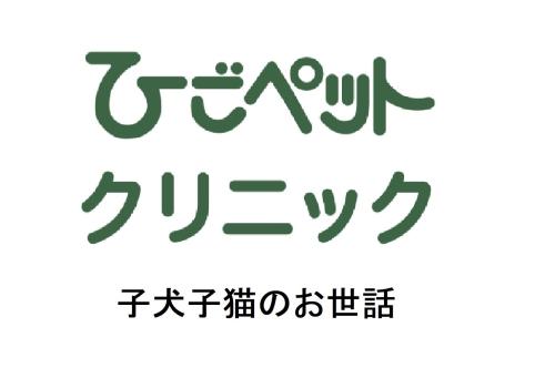 ひごペットクリニック 福山店舗管理病院　※健康管理スタッフ※