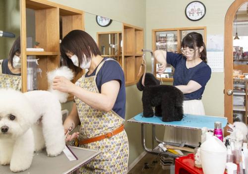トリマー募集！時短勤務OK・週1日〜の出勤可/ブランク歓迎