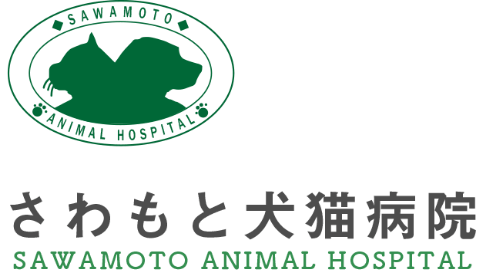 【新体制での中核メンバー募集】長崎の1.5次動物病院の獣医師