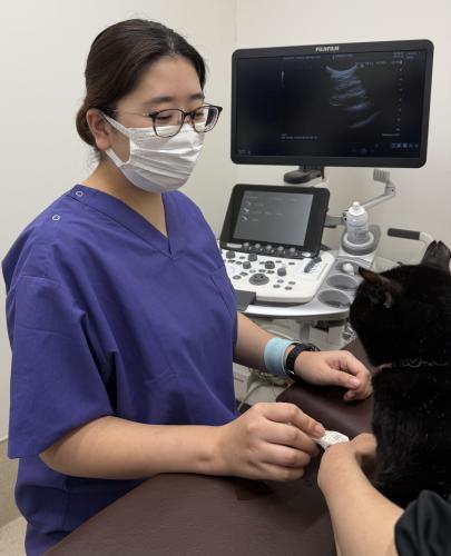 愛玩動物看護師バイト募集！