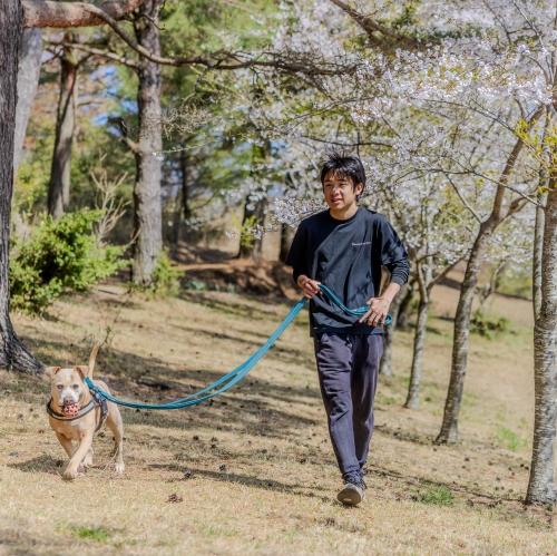保護犬シェルタースタッフ