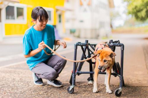 保護犬シェルタースタッフ