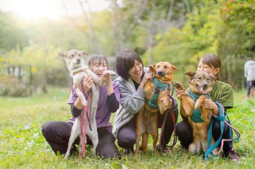 保護犬シェルタースタッフ