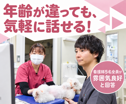 【滋賀】愛玩動物看護師・看護助手｜未経験OK｜エキゾも学べる